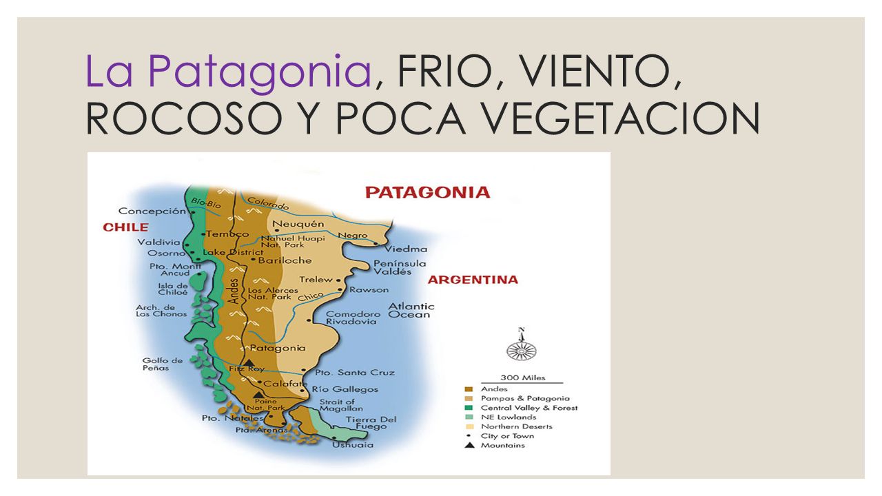 La Patagonia, FRIO, VIENTO, ROCOSO Y POCA VEGETACION