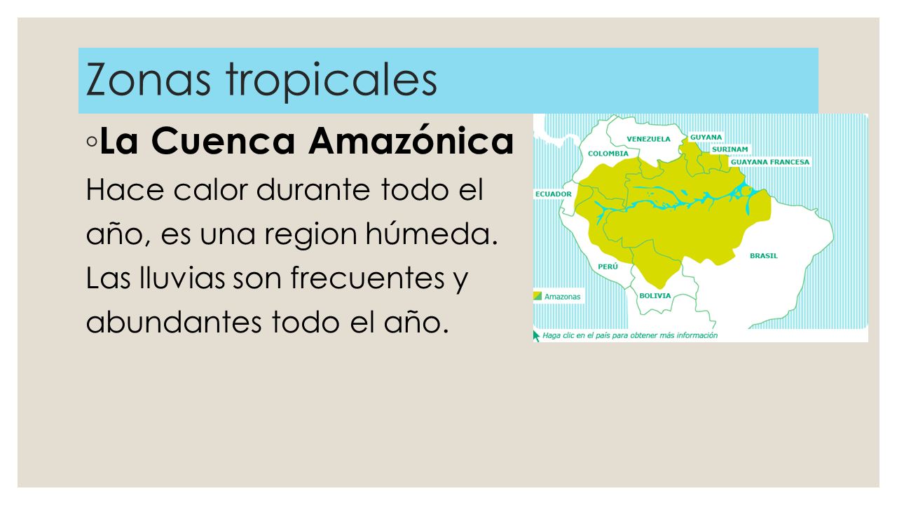 Zonas tropicales La Cuenca Amazónica Hace calor durante todo el