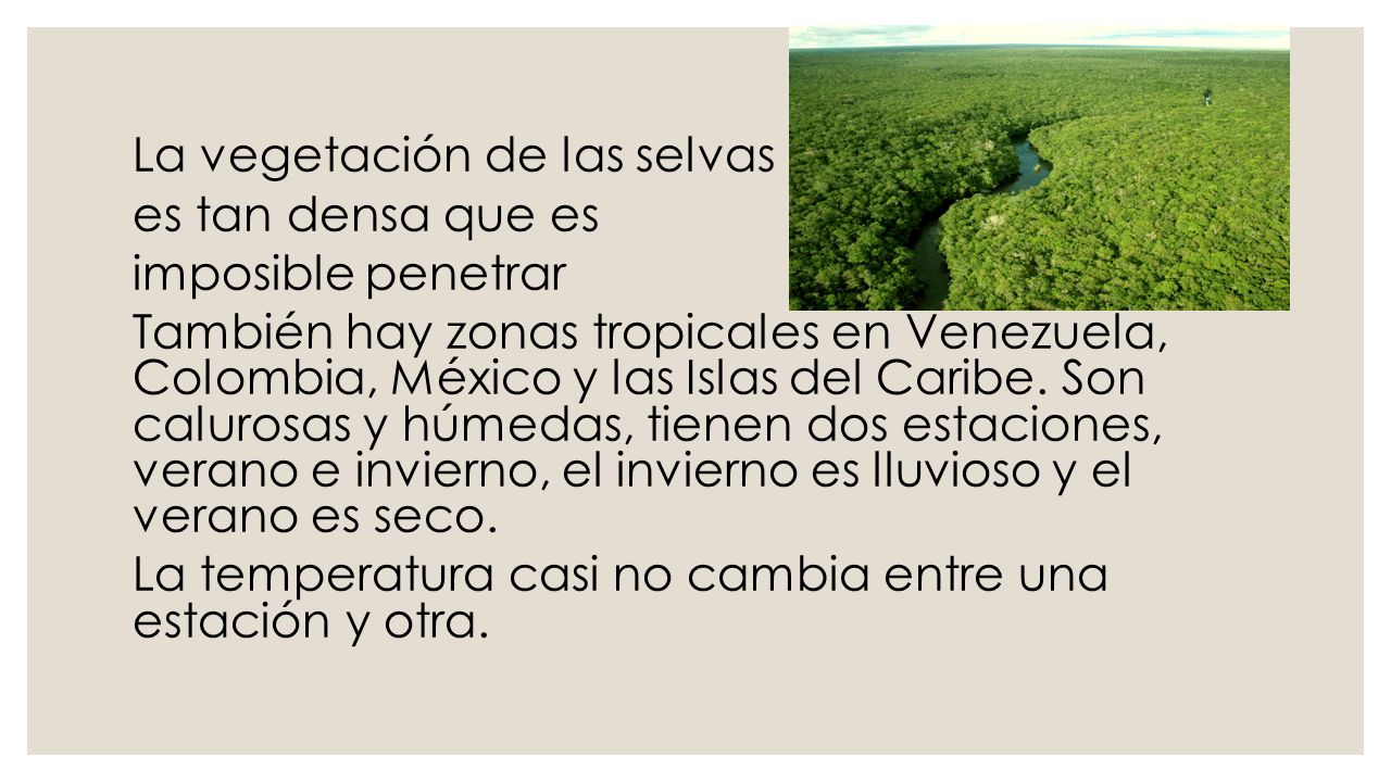 La vegetación de las selvas es tan densa que es imposible penetrar También hay zonas tropicales en Venezuela, Colombia, México y las Islas del Caribe.