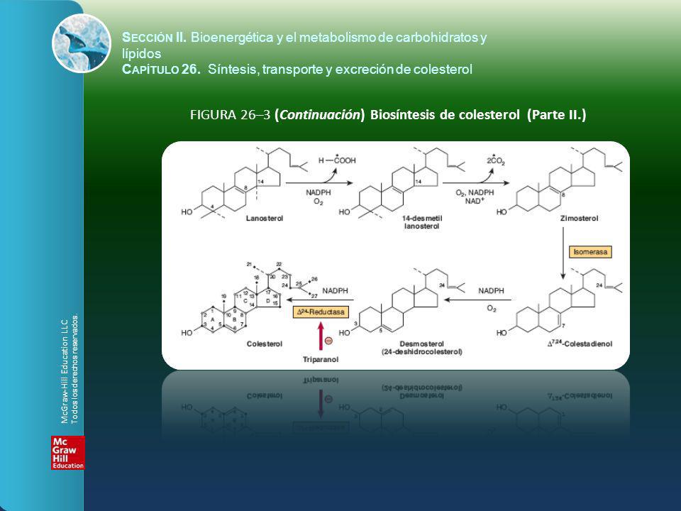 FIGURA 26–3 (Continuación) Biosíntesis de colesterol (Parte II.)