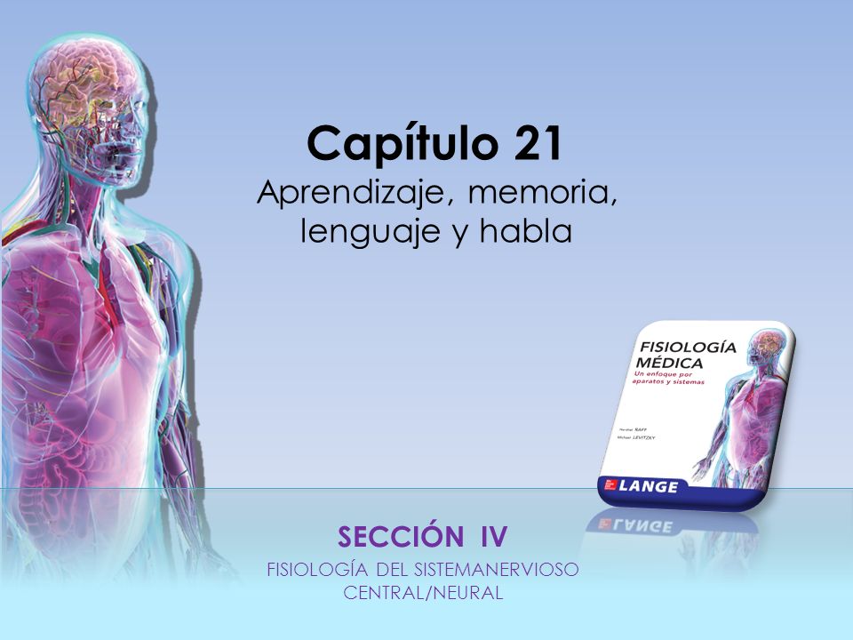 SECCIÓN IV FISIOLOGÍA DEL SISTEMANERVIOSO CENTRAL/NEURAL