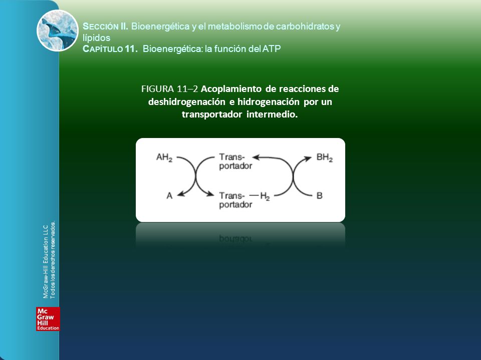 deshidrogenación e hidrogenación por un transportador intermedio.