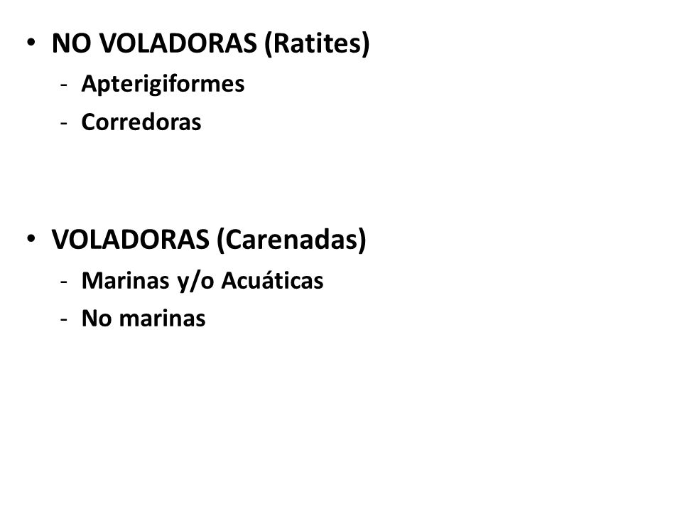 Tipos de Aves NO VOLADORAS (Ratites) VOLADORAS (Carenadas)