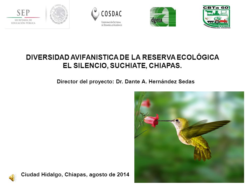 DIVERSIDAD AVIFANISTICA DE LA RESERVA ECOLÓGICA EL SILENCIO, SUCHIATE, CHIAPAS.