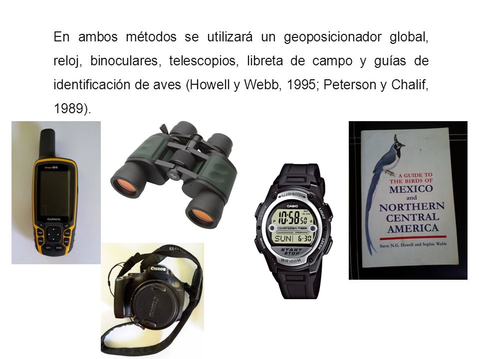 En ambos métodos se utilizará un geoposicionador global, reloj, binoculares, telescopios, libreta de campo y guías de identificación de aves (Howell y Webb, 1995; Peterson y Chalif, 1989).