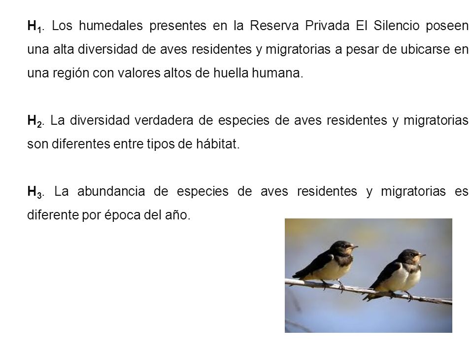 H1. Los humedales presentes en la Reserva Privada El Silencio poseen una alta diversidad de aves residentes y migratorias a pesar de ubicarse en una región con valores altos de huella humana.