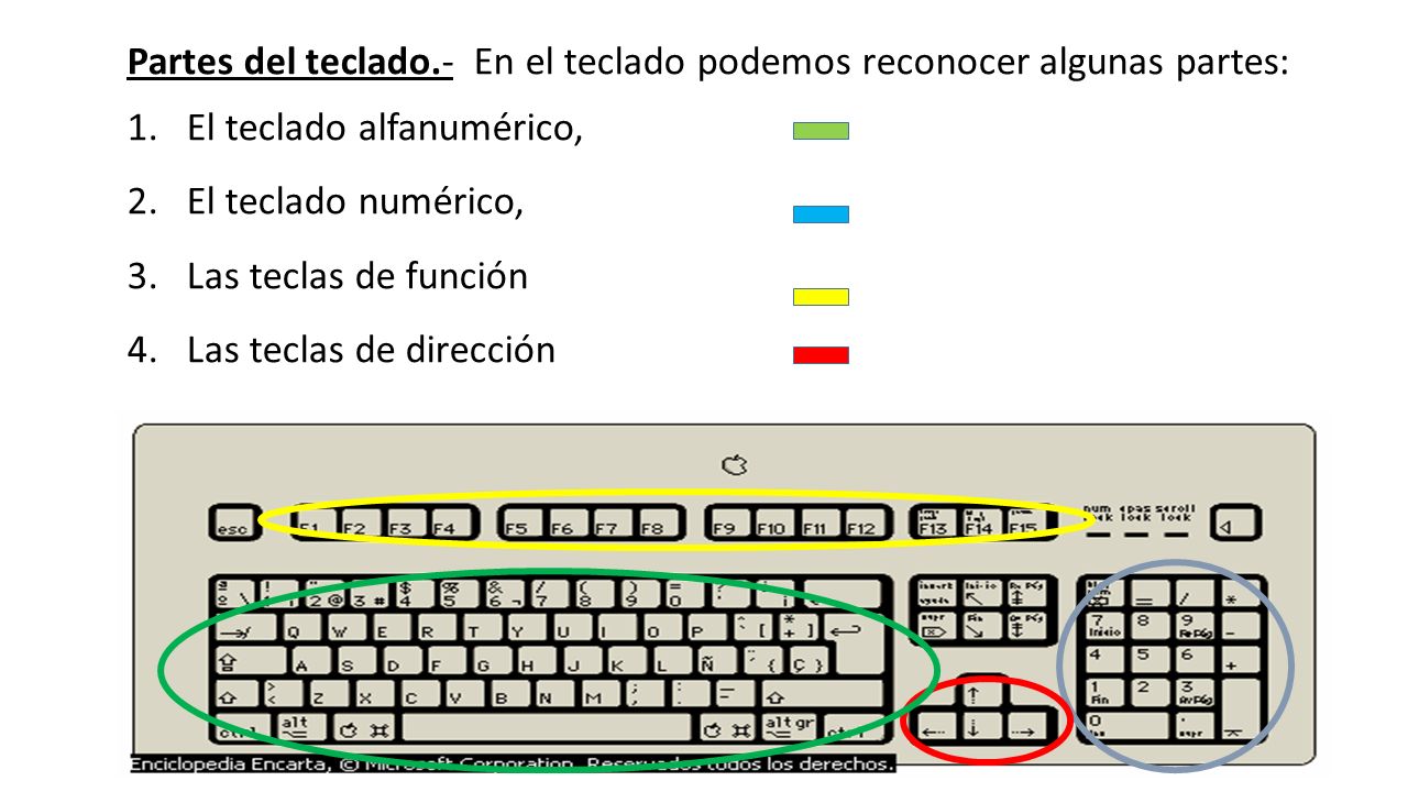 Partes del teclado.- En el teclado podemos reconocer algunas partes:
