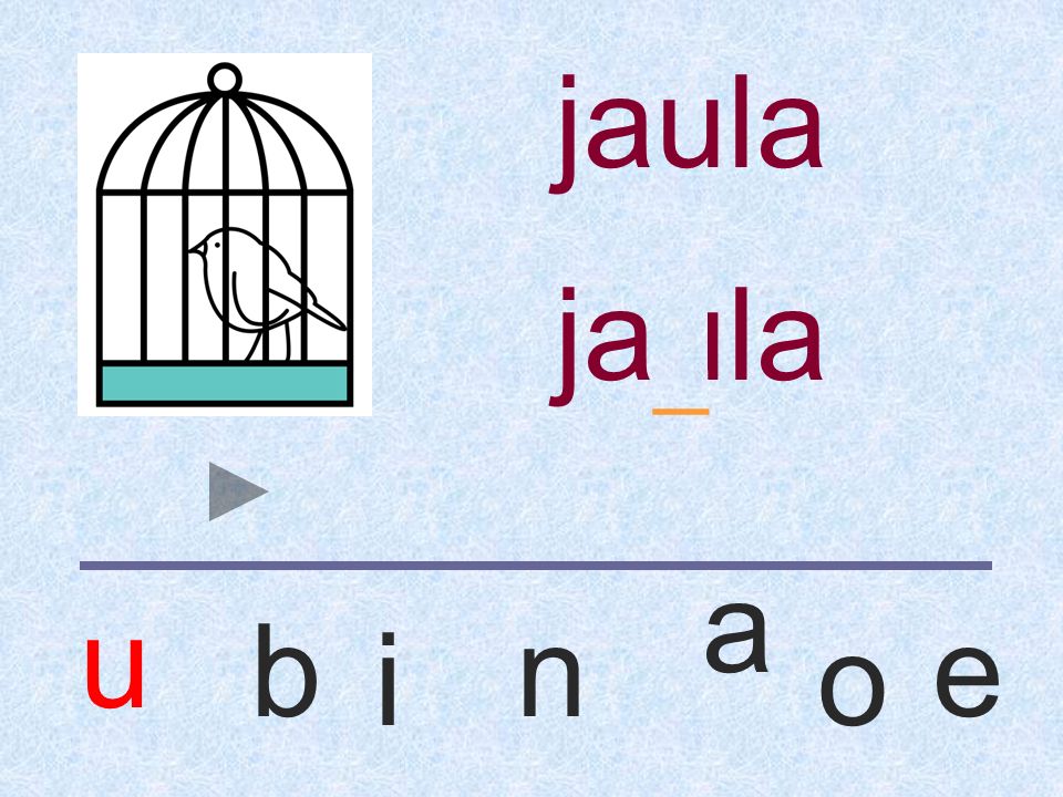 jaula jaula _ a u b n e i o