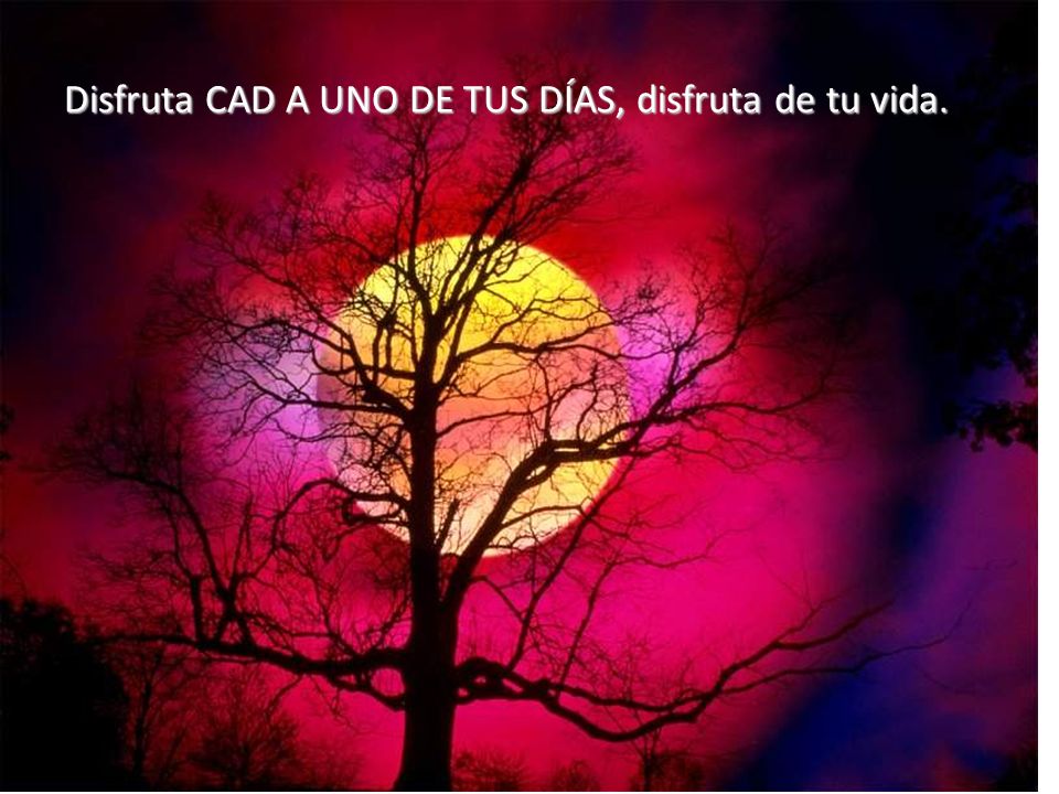 Disfruta CAD A UNO DE TUS DÍAS, disfruta de tu vida.