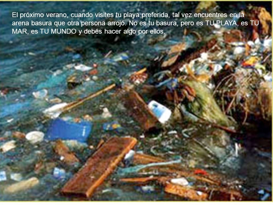 El próximo verano, cuando visites tu playa preferida, tal vez encuentres en la arena basura que otra persona arrojó.