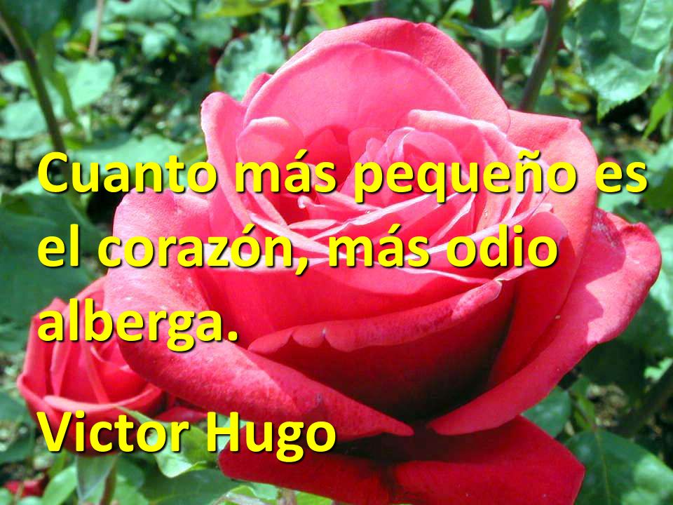 Cuanto más pequeño es el corazón, más odio alberga.