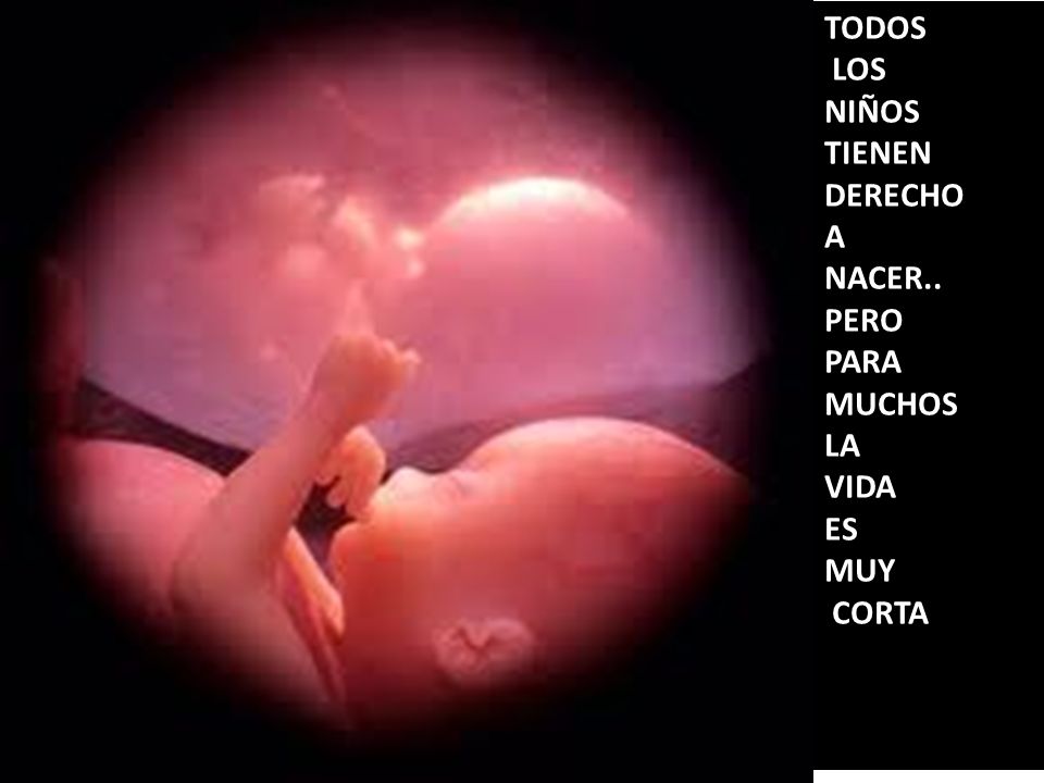 TODOS LOS NIÑOS TIENEN DERECHO A NACER.. PERO PARA MUCHOS LA VIDA ES MUY CORTA