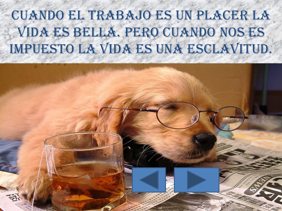 Cuando el trabajo es un placer la vida es bella