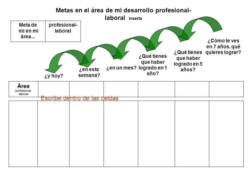Metas en el área de mi desarrollo profesional- laboral inserta
