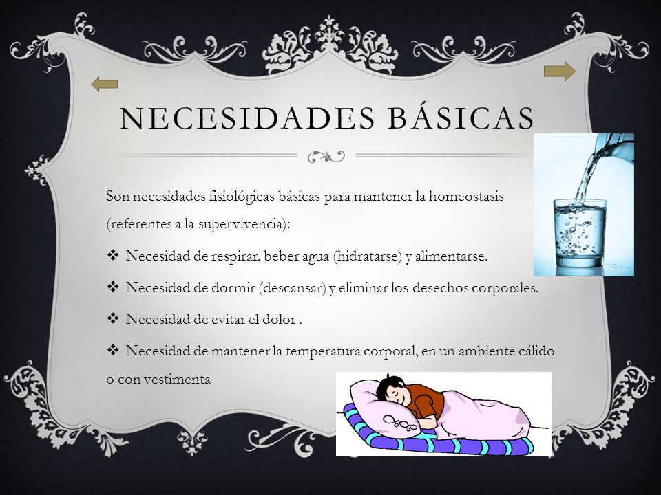 Necesidades básicas Son necesidades fisiológicas básicas para mantener la homeostasis (referentes a la supervivencia):