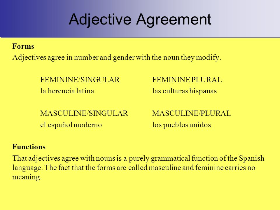 Adjective Agreement Forms