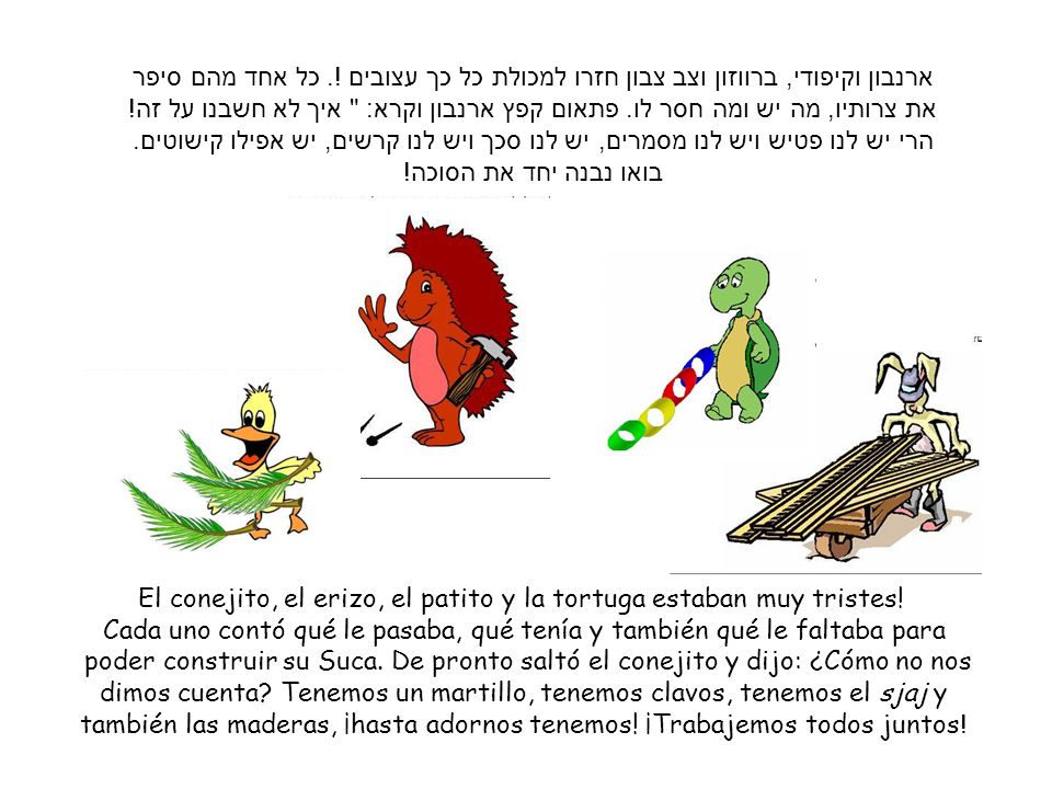 El conejito, el erizo, el patito y la tortuga estaban muy tristes!