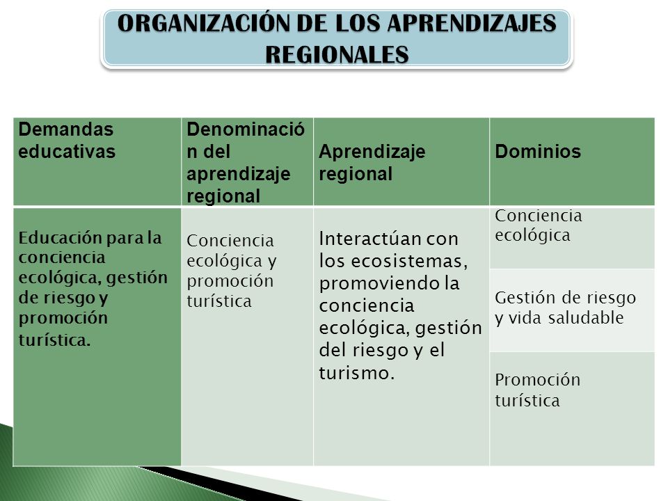 ORGANIZACIÓN DE LOS APRENDIZAJES REGIONALES