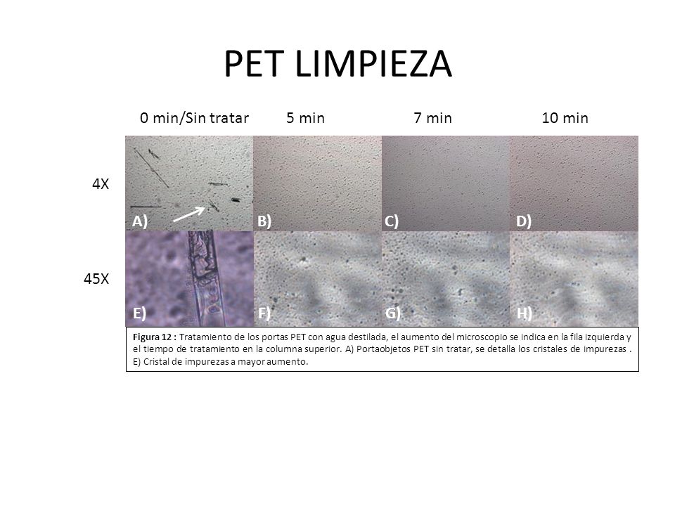 PET LIMPIEZA 0 min/Sin tratar 5 min 7 min 10 min 4X A) B) C) D) 45X