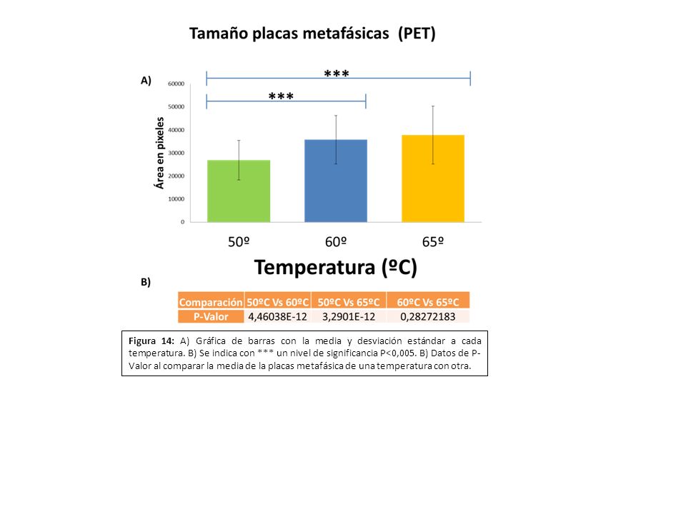 Figura 14: A) Gráfica de barras con la media y desviación estándar a cada temperatura.