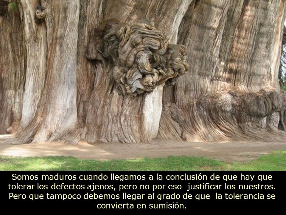 Somos maduros cuando llegamos a la conclusión de que hay que tolerar los defectos ajenos, pero no por eso justificar los nuestros.