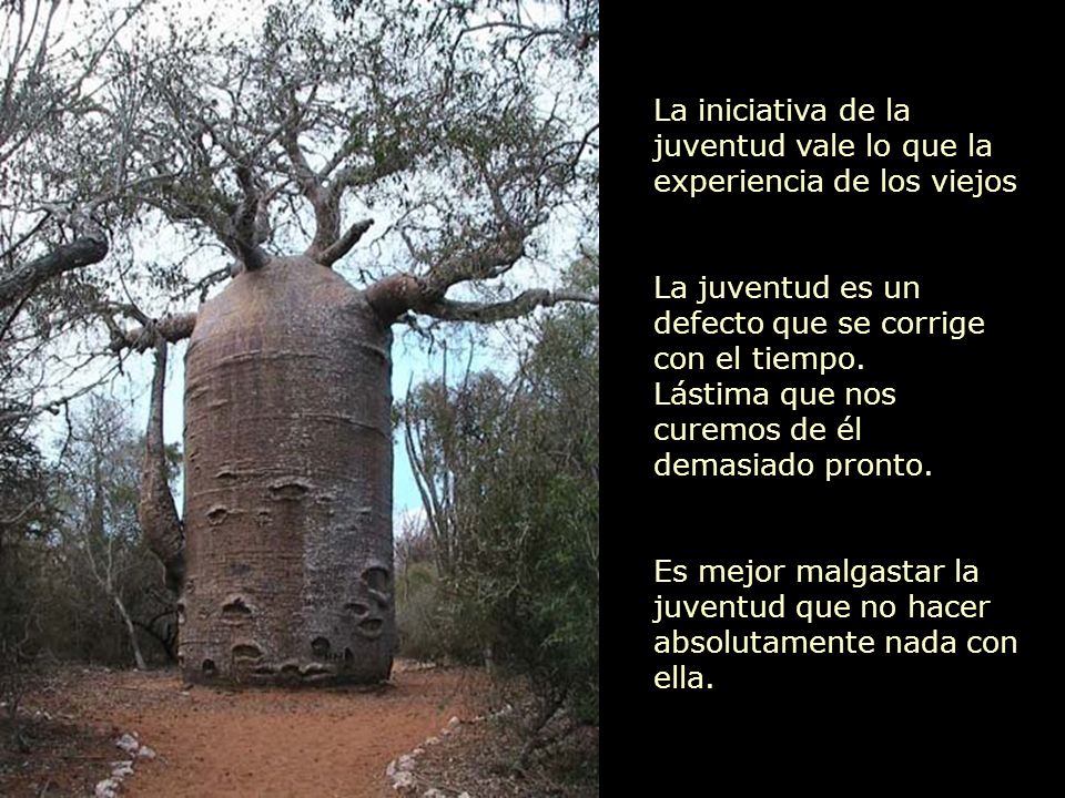 La iniciativa de la juventud vale lo que la experiencia de los viejos