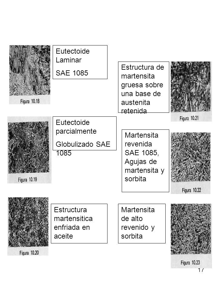 Eutectoide Laminar SAE Estructura de martensita gruesa sobre una base de austenita retenida.