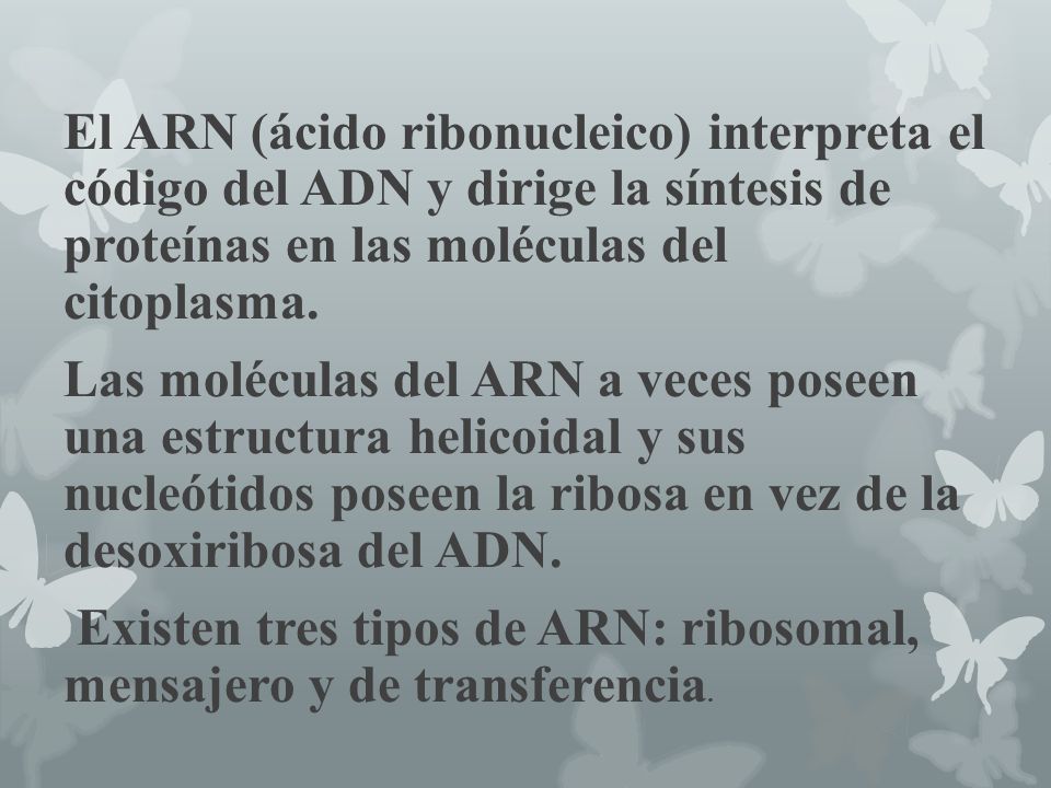 El ARN (ácido ribonucleico) interpreta el código del ADN y dirige la síntesis de proteínas en las moléculas del citoplasma.