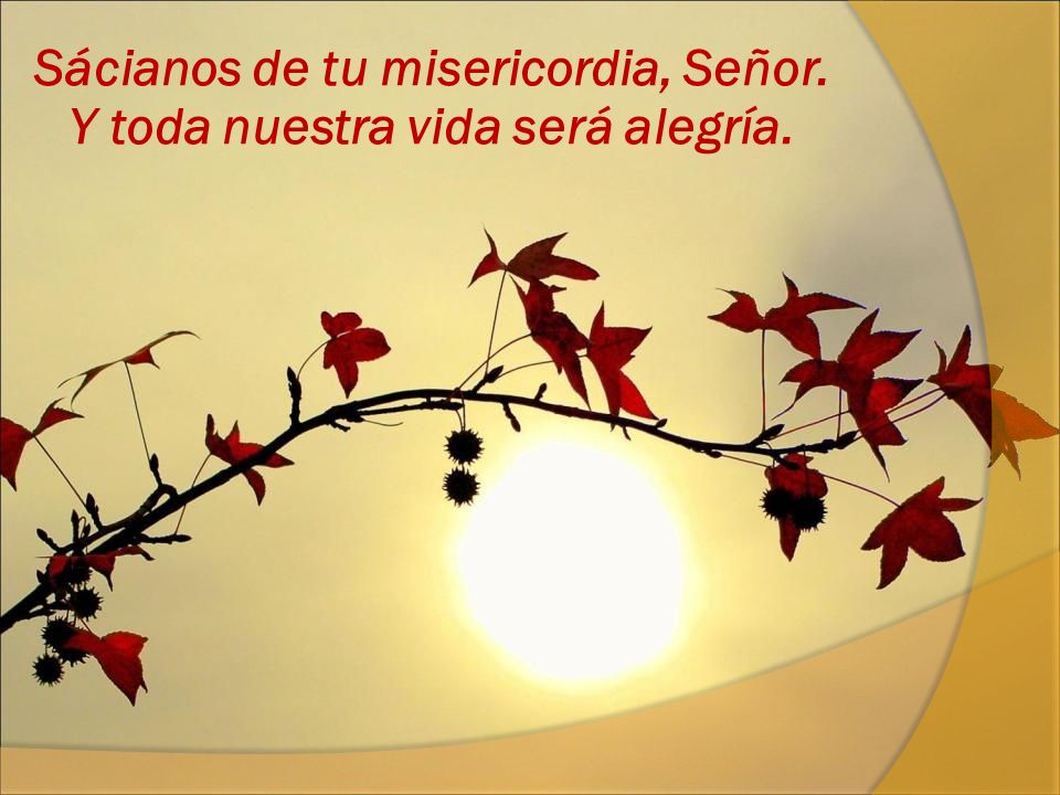 Sácianos de tu misericordia, Señor. Y toda nuestra vida será alegría.