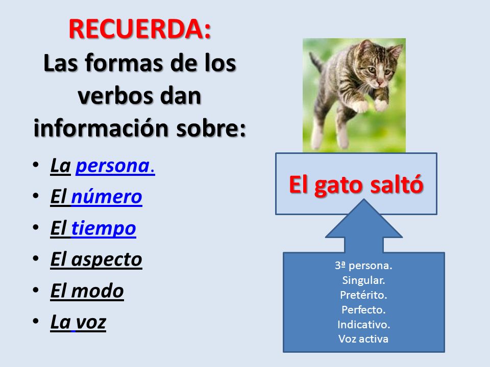 RECUERDA: Las formas de los verbos dan información sobre: