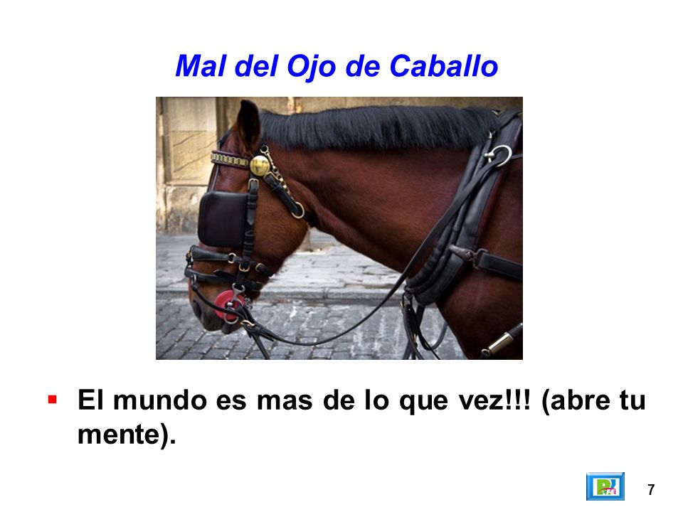 Mal del Ojo de Caballo El mundo es mas de lo que vez!!! (abre tu mente). 7