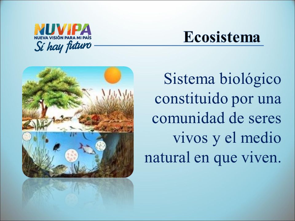Ecosistema Sistema biológico constituido por una comunidad de seres vivos y el medio natural en que viven.