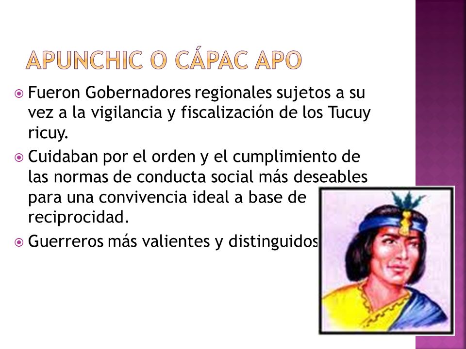 Apunchic o cápac apo Fueron Gobernadores regionales sujetos a su vez a la vigilancia y fiscalización de los Tucuy ricuy.