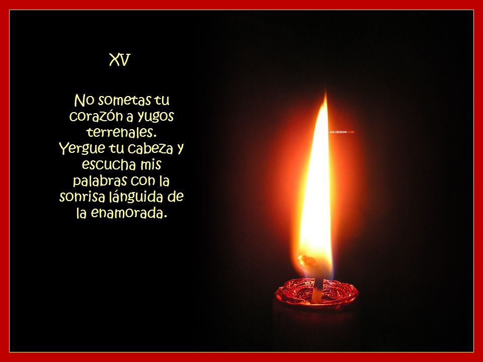 XV No sometas tu corazón a yugos terrenales.