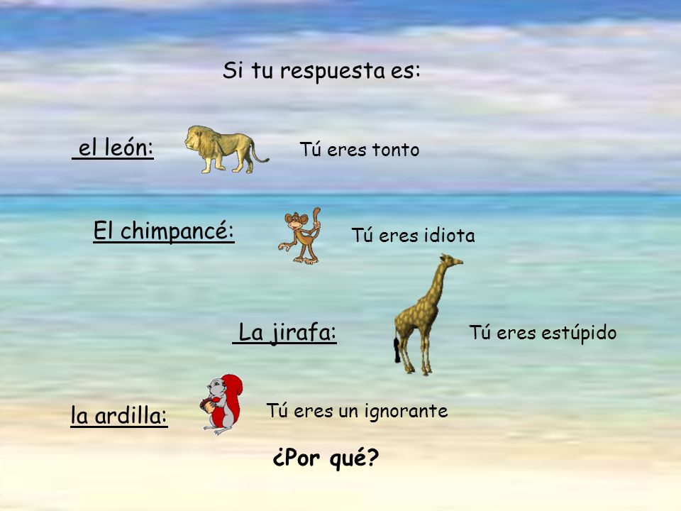 Si tu respuesta es: el león: El chimpancé: La jirafa: ¿Por qué