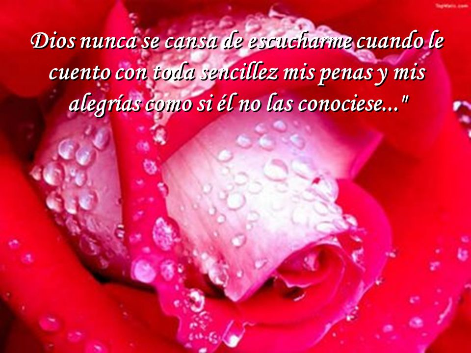 Dios nunca se cansa de escucharme cuando le cuento con toda sencillez mis penas y mis alegrías como si él no las conociese...