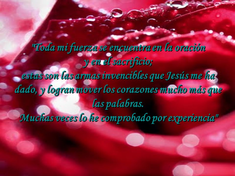 Toda mi fuerza se encuentra en la oración y en el sacrificio;