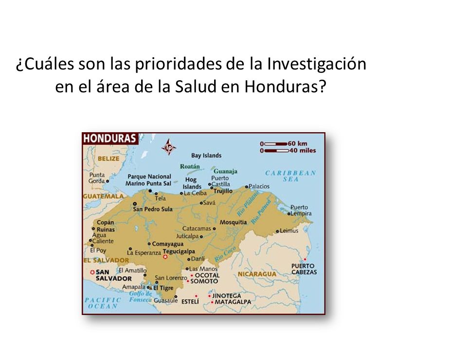 ¿Cuáles son las prioridades de la Investigación en el área de la Salud en Honduras