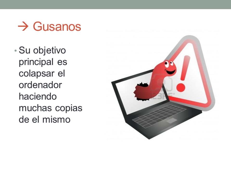  Gusanos Su objetivo principal es colapsar el ordenador haciendo muchas copias de el mismo