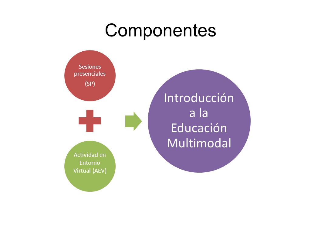 Componentes Introducción a la Educación Multimodal