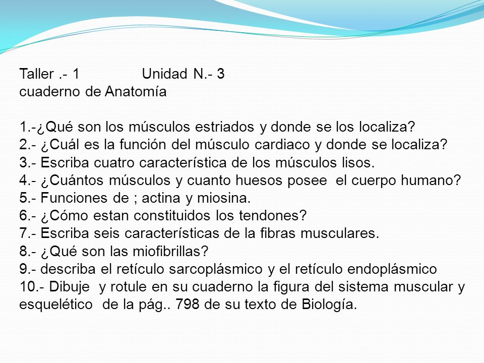 Taller. - 1 Unidad N. - 3 cuaderno de Anatomía 1