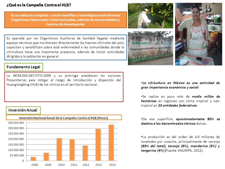 Inversión Nacional Anual de la Campaña Contra el HLB (Pesos)