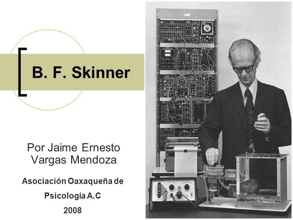 Por Jaime Ernesto Vargas Mendoza