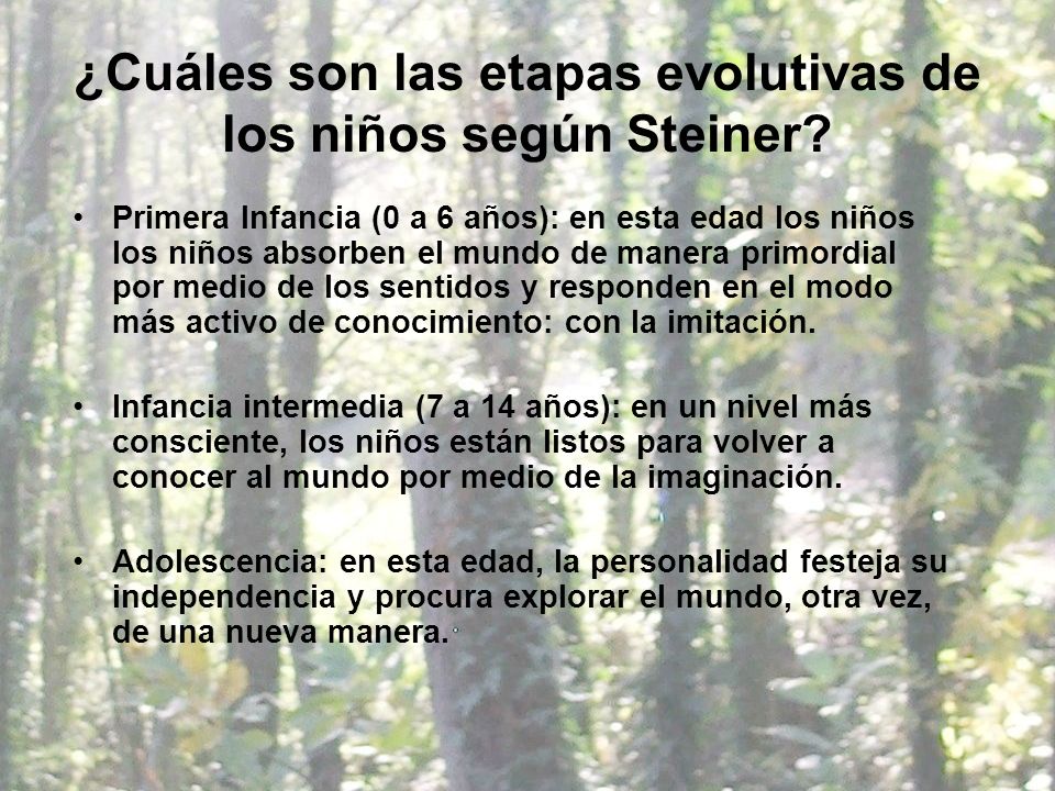¿Cuáles son las etapas evolutivas de los niños según Steiner