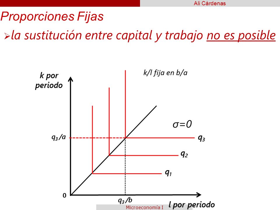 Proporciones Fijas la sustitución entre capital y trabajo no es posible