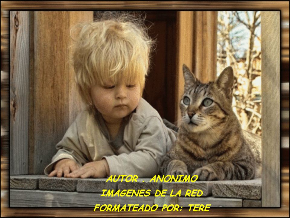 AUTOR . ANONIMO IMAGENES DE LA RED FORMATEADO POR: TERE