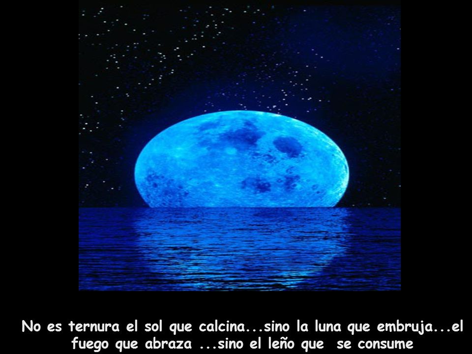 No es ternura el sol que calcina. sino la luna que embruja