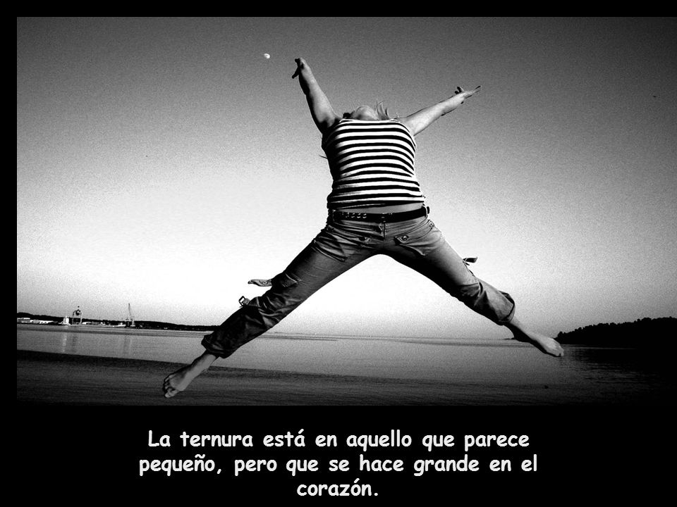 La ternura está en aquello que parece pequeño, pero que se hace grande en el corazón.