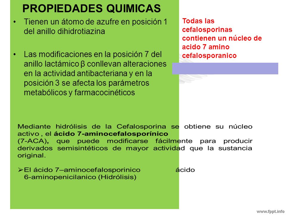 PROPIEDADES QUIMICAS Tienen un átomo de azufre en posición 1 del anillo dihidrotiazina.