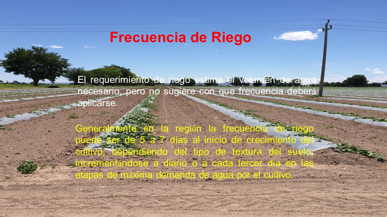 Frecuencia de Riego El requerimiento de riego estima el volumen de agua necesario, pero no sugiere con que frecuencia deberá aplicarse.
